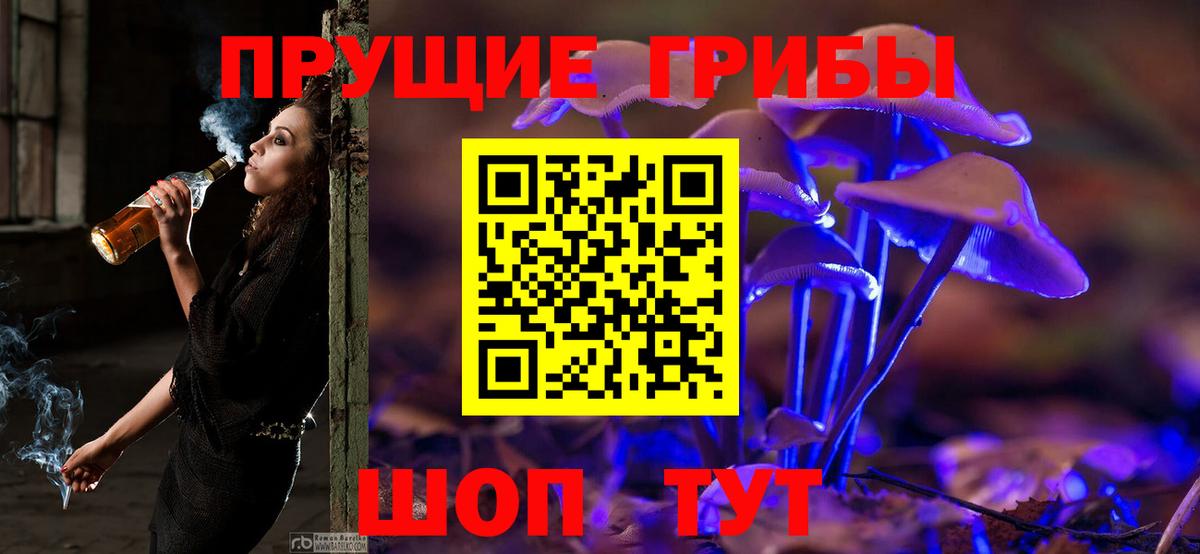Псилоцибиновые грибы Psilocybe Волжск