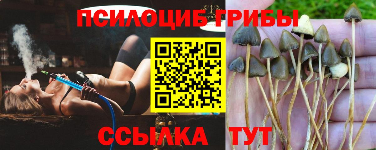 Волжск  Псилоцибиновые грибы Magic Shrooms  Вход с VPN 